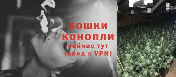 PSILOCYBIN Бородино
