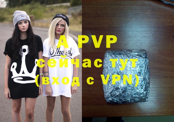 PSILOCYBIN Бородино