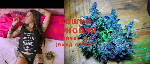 PSILOCYBIN Бородино