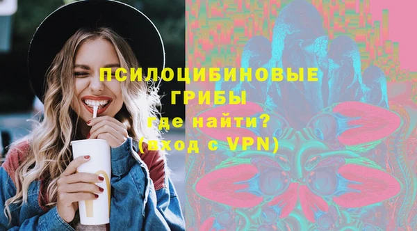 PSILOCYBIN Бородино