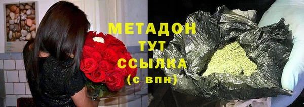 PSILOCYBIN Бородино