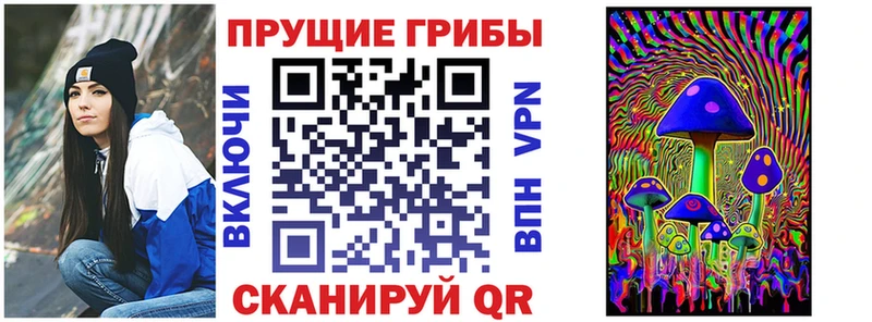 Купить  Урус-Мартан  Псилоцибиновые грибы мухоморы 